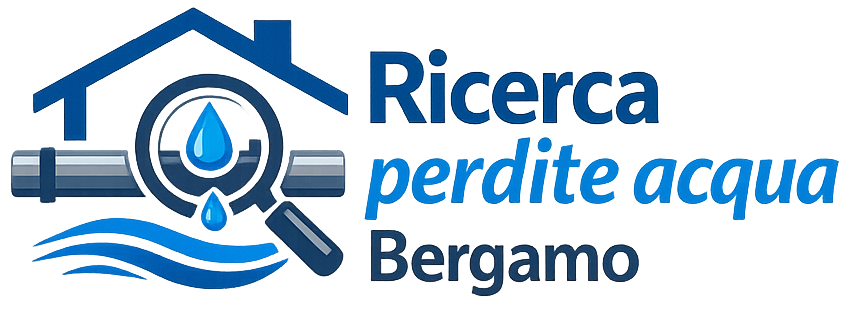 Ricerca perdite acqua Bergamo